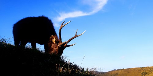 Horton plains national park, World heritage site