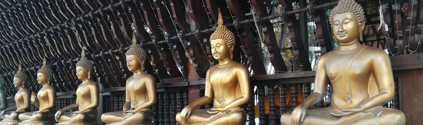 Explore cultural diversity in Sri Lanka