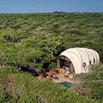 Wild Coast Tented Lodge 924 (2days)