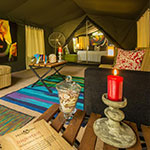 Mahoora Tented Safari Camp 